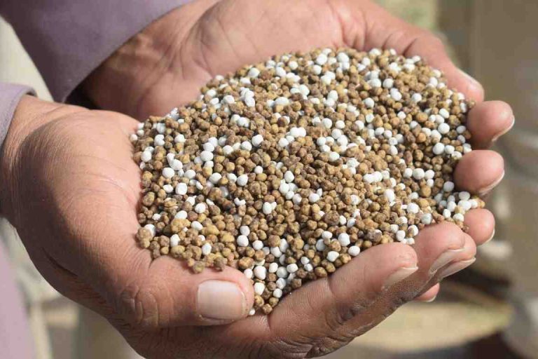 সুষম সার