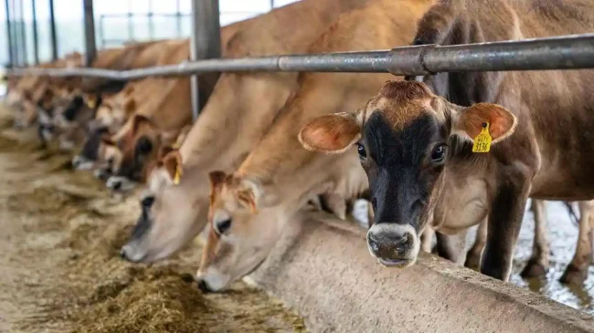 biosecurity biosecurity