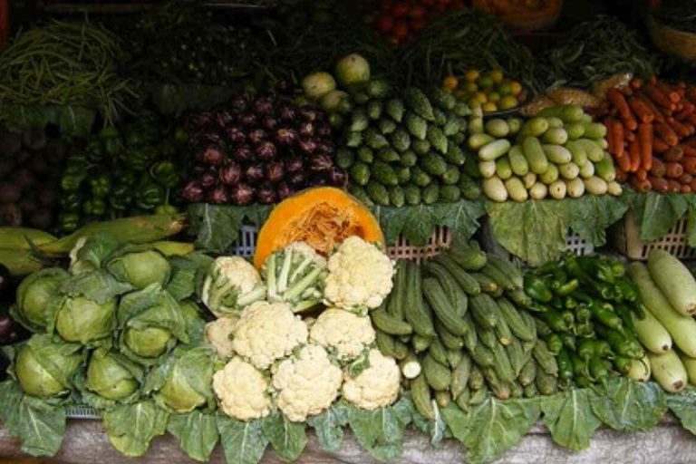 শীতকালীন শাক-সব্জী